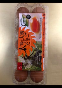 ノーサン・エミー 太陽と大樹のたまご 10個の商品写真