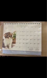 ＡＰＪ　２２カレンダー　１９　仔猫　卓上のレビュー画像