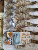 東洋 ブラックタイガー 16/20 14尾