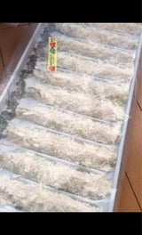 メリータイムフーズ 特大エビフライ