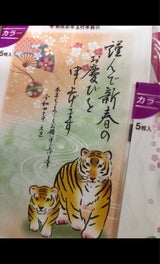 プリプレス カラー年賀はがき 5枚