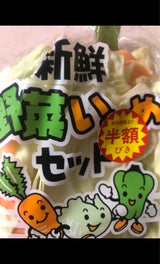 スティング 野菜炒めセット 245g