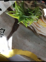 サンサス きねうち十割そば1食スープ付 170g