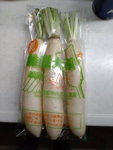 JA京都 雑煮大根 1本