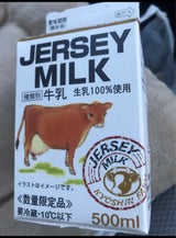 共進 ジャージー4.3牛乳 紙パック 500