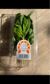 大洋まほろ馬 スィートバジル 20g