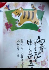 マルミヤ 20年賀はがき カラー Aセット