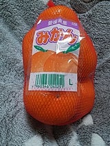 ユーシーポリマー みかん 1P