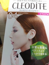 クレオディーテ ヘアカラーエマルジョン04 1個