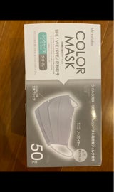 不織布カラーマスク ふつう ライトグレー 50P