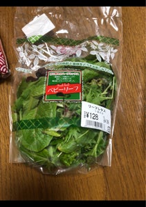 安濃 ベビーリーフ 1Pの商品写真