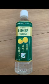 伊藤園 ニッポンエール 日向夏宮崎県産 500g