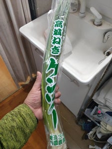 内薗 高城ねぎケンゾー 1Pの商品写真