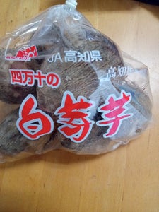 高知県園芸連　減農白芽芋　５００ｇの商品写真