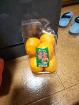 マルマ 三ケ日みかん