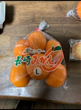 精工 みかん長崎 1P