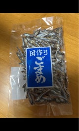 丸金食品 田作りごまめ 1P