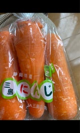 東神 にんじん 人参11号 静岡 1P