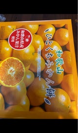 翠好堂 和歌山ひとくちみかん餅 20個