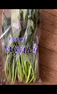 FDI ほうれんそう 200gの商品写真