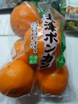 四国青果 玉津ポンカン