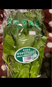 石川 サラダ法蓮草 100gの商品写真