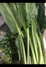 睦岡 ほうれん草