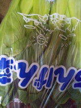 JA新潟 ちんげん菜