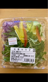 ユーキフーズ 水菜サラダ カップ 84g