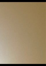 Bスワロー 万能トング 9.5インチ