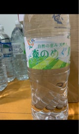 ビクトリー 森のめぐ美 2L