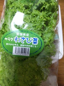 石川　サラダわさび菜　１Ｐの商品写真