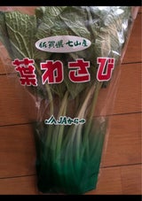 JA松浦 葉わさび 1ワ