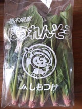 JA下野 ほうれんそう 1P