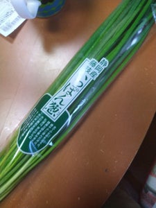 アグリ 藤枝のこねぎちゃんの商品写真