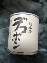 マルミツサンヨー デコポンEO 5号