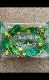 AW ベビーリーフ 1P