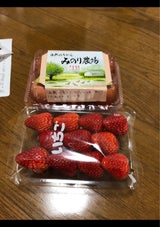 農 みのりたまごあか玉M 10P