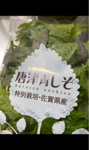 麻生園芸 青しそ 20gの商品写真