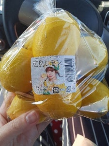 ＪＡ広島　国産レモン　袋入のレビュー画像