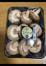 真明印刷 なましいたけ 徳島産 1P