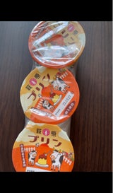 萩原乳業 萩原プリン 190g