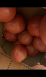 八代青果食品　ふぞろいのトマトたち　１ｋｇのレビュー画像