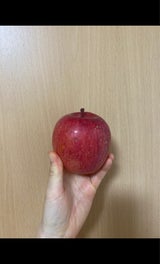 東根農産センター りんご 袋詰 6個