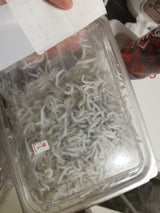 高橋 釜揚ちりめん 55g