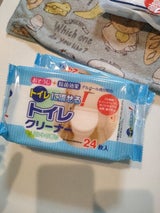 ペーパーテック 流せるトイレクリーナー 24枚