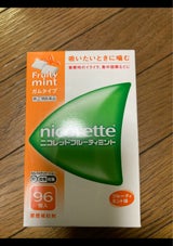 ニコレット フルーティミント 96個