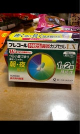 プレコール持続性鼻炎カプセルLX 40カプセル