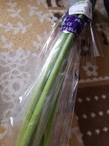 日東 名菜館 にんにくの芽 200g