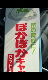 渡辺泰 ポカポカキャップセット 5P